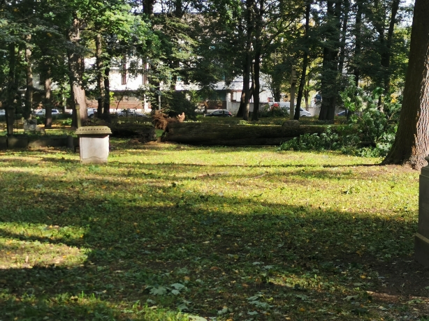 Stiprā vēja postījumi Lielajos kapos 